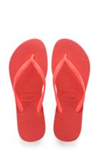 Women's Ivy Park Logo Tape Slide Sandals .5us / 41eu - Blue