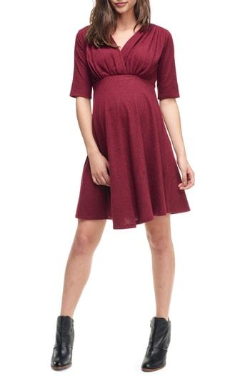 Women's Maternal America Empire Waist Stretch Maternity Dress - Burgundy