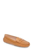 Women's Tod's Gommini Stud Penny Loafer Us / 36eu - Brown