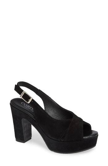 Women's Cordani Tompkins Sandal .5us / 36eu - Black
