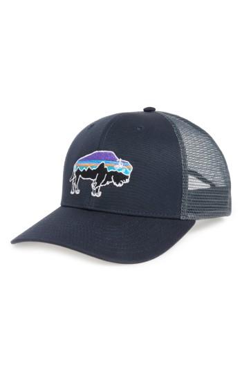 Men's Patagonia 'fitz Roy Bison' Trucker Hat - Blue