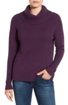 Petite Women's Caslon Cozy Rib Detail Relaxed Turtleneck P - Green