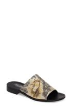 Women's Shellys London Enya Brocade Slide Sandal Eu - Beige