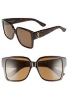 Women's Saint Laurent 55mm Square Sunglasses - Havana/ Havana/ Brown