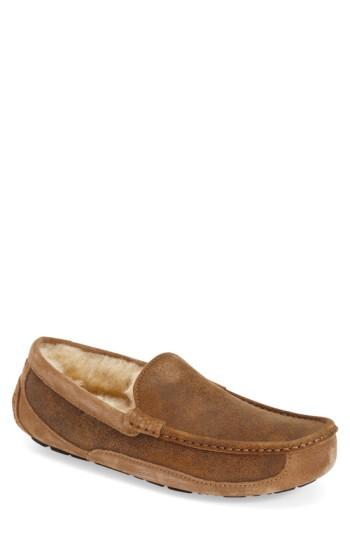 Men's Ugg Ascot Bomber Slipper M - Brown