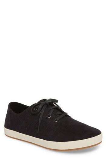 Men's Toms Payton Perforated Sneaker M - Black