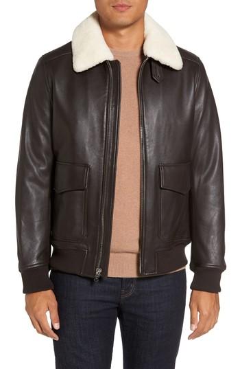 Men's Michael Kors Prima Genuine Lamb Shearling Flight Jacket, Size - Brown