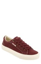 Women's Taos Plim Soul Sneaker M - Red