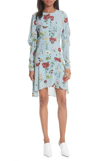 Women's Joie Tamarice Floral A-line Dress - Blue