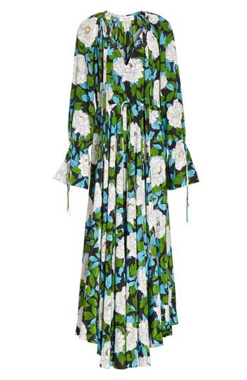 Women's Diane Von Furstenberg Floral Silk Maxi Dress - Green