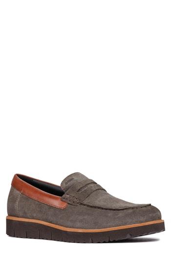 Men's Geox New Pluges 6 Penny Loafer Us / 40eu - Brown
