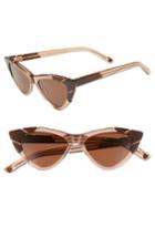 Women's Pared Picollo & Grande 50mm Cat Eye Sunglasses - Brn/choco Lam Solid Brn Lens