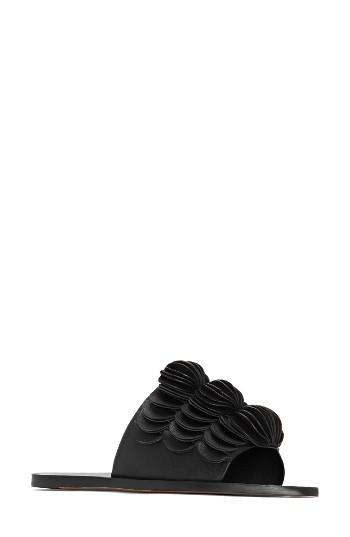 Women's Mercedes Castillo Delphia Slide Sandal