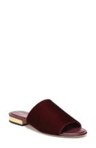 Women's Diane Von Furstenberg Samassi 1 Slide Sandal M - Burgundy