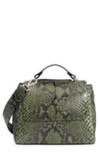 Orciani Small Sveva Genuine Python Satchel - Green
