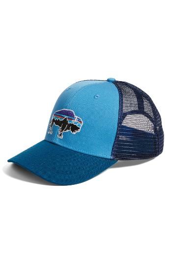 Men's Patagonia Fitz Roy Bison Trucker Hat - Blue