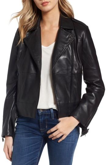 Women's Bernardo Belted Leather Moto Jacket