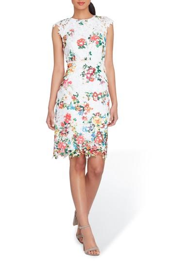Women's Tahari Floral Print Lace Sheath Dress - Orange