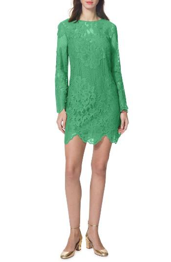 Women's Donna Morgan Lace Sheath Dress - Green
