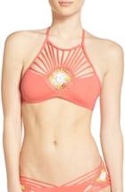 Women's Isabella Rose French Pastry Bikini Top