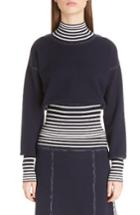 Women's Loewe Stripe Knit Turtleneck - Blue