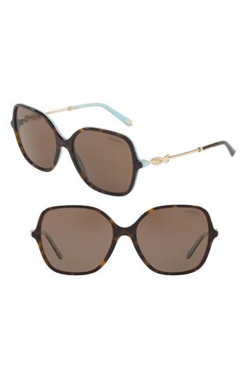 Women's Tiffany 57mm Sunglasses - Havana Blue Solid
