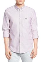 Men's Lacoste Regular Fit Bengal Stripe Oxford Woven Shirt Eu - Burgundy