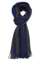 Men's Ted Baker London Elmm Stripe Wool Scarf, Size - Blue