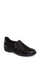 Women's Ara Athena Flat .5 M - Black