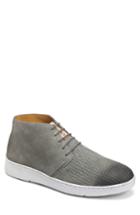 Men's Sandro Moscoloni Metin Perforated Chukka Boot D - Grey
