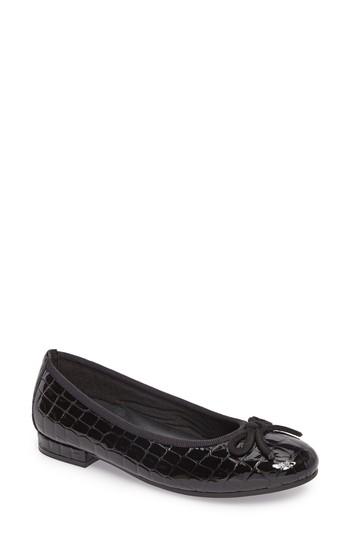 Women's David Tate Glow Flat .5 N - Black