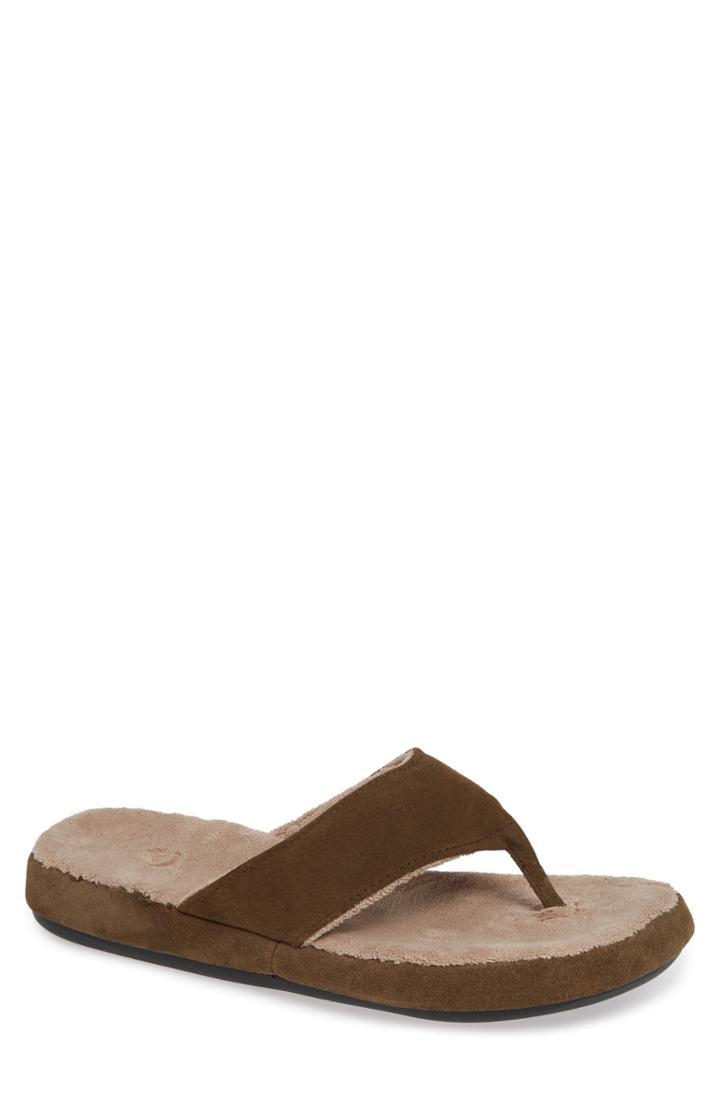 Men's Acorn Flip Flop - Brown