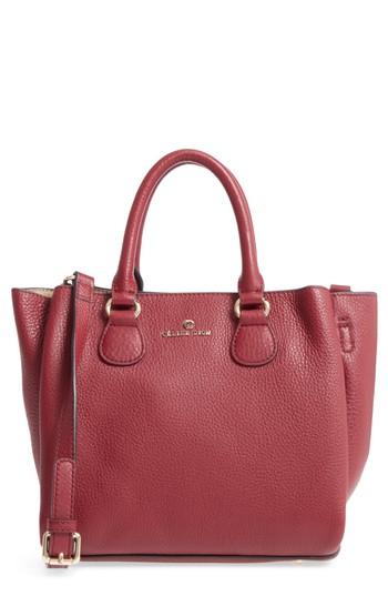 Celine Dion Small Adagio Leather Satchel - Red