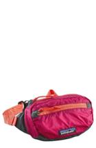 Patagonia Travel Belt Bag -