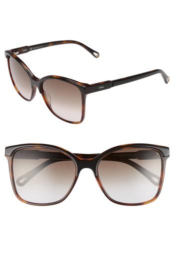 Women's Chloe 59mm Brow Bar Sunglasses - Black/ Havana