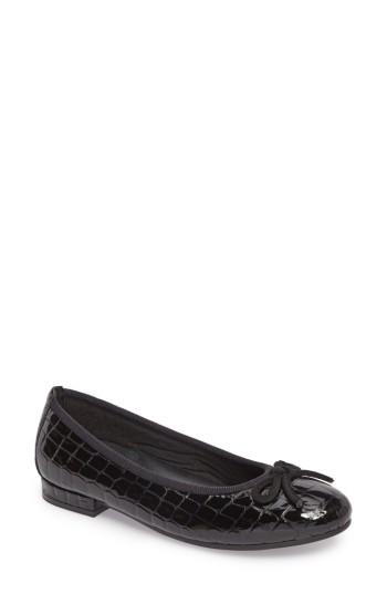 Women's David Tate Glow Flat N - Black