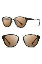 Women's Shwood 'ainsworth' 49mm Polarized Sunglasses - Darkforest/ Gold/ Brown Polar