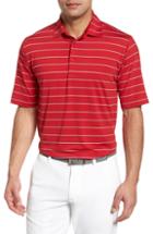 Men's Bobby Jones Xh2o Momentum Stripe Jersey Polo, Size - Purple