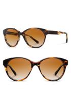 Women's Shwood 'madison' 54mm Polarized Sunglasses - Tortoise/ Ebony/ Brown Polar