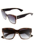 Women's Moschino 55mm Cat Eye Sunglasses - Dark Havana