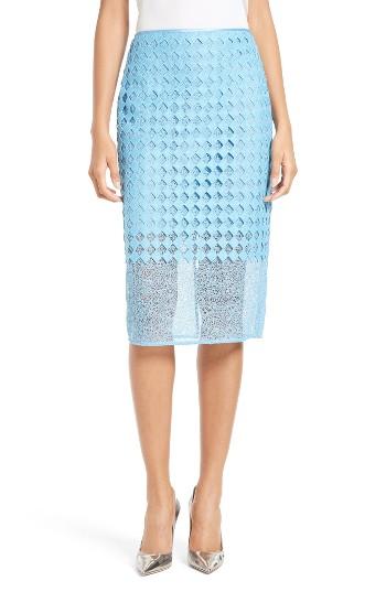 Women's Diane Von Furstenberg Twig Lace Pencil Skirt - Blue