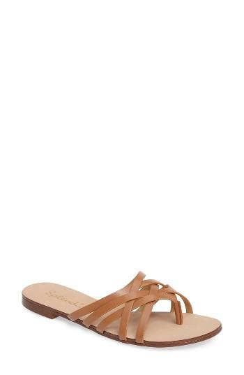 Women's Splendid Jojo Slide Sandal M - Brown