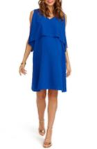 Women's Rosie Pope Janie Maternity Dress - Blue