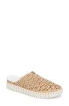 Women's Bernie Mev. Tw118 Perforated Mule Us / 36eu - Beige
