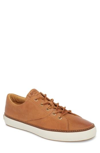 Men's Sperry Gold Cup Haven Sneaker M - Brown