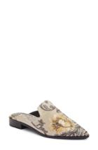 Women's Shellys London Cantara Mule Eu - Beige