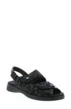 Women's Wolky Nimes Sandal .5-8us / 39eu - Black