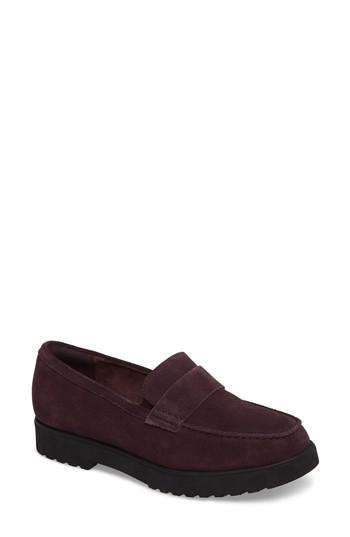 Women's Clarks Bellevue Hazen Loafer W - Purple