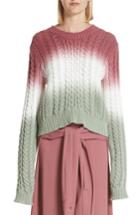Women's Sies Marjan Dip Dye Cable Knit Sweater - Pink