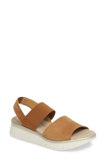 Women's The Flexx Cushy Sandal M - Brown